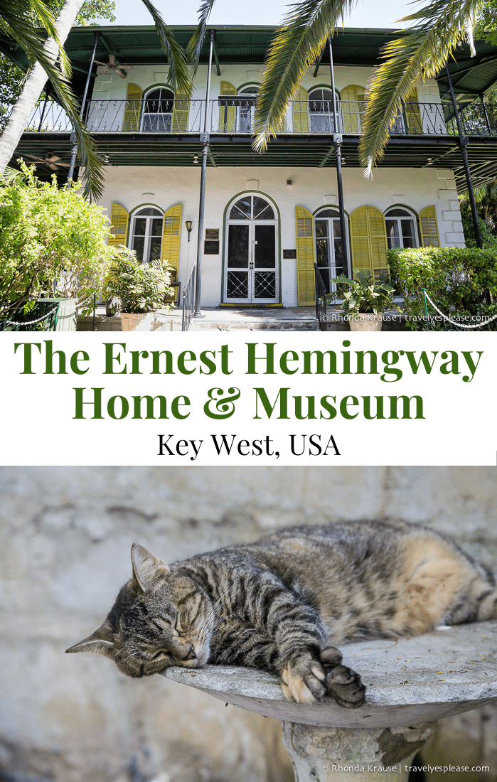 The top 18 The hemingway home and museum 1 The Ernest Hemingway Home and Museum (and Cats!)