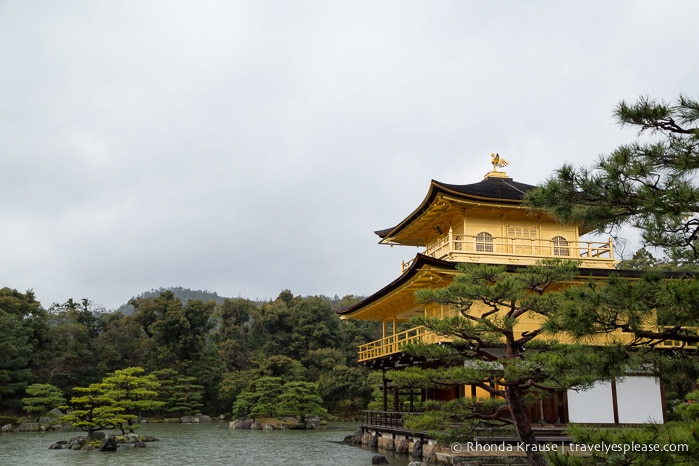 travelyesplease.com | Kinkaku-ji Temple- Kyoto's Golden Pavilion