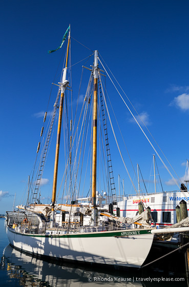 travelyesplease.com | Key West Sunset Sail- The Appledore V Schooner