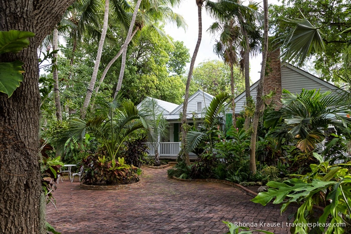 travelyesplease.com | Audubon House and Tropical Gardens- An Oasis in the Heart of Key West