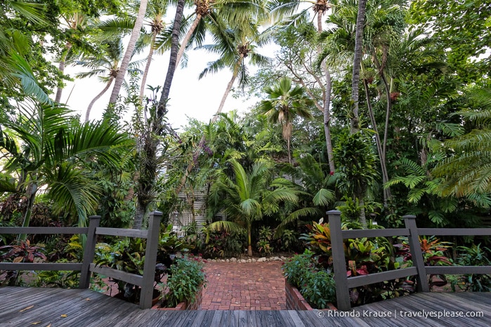 travelyesplease.com | Audubon House and Tropical Gardens- An Oasis in the Heart of Key West