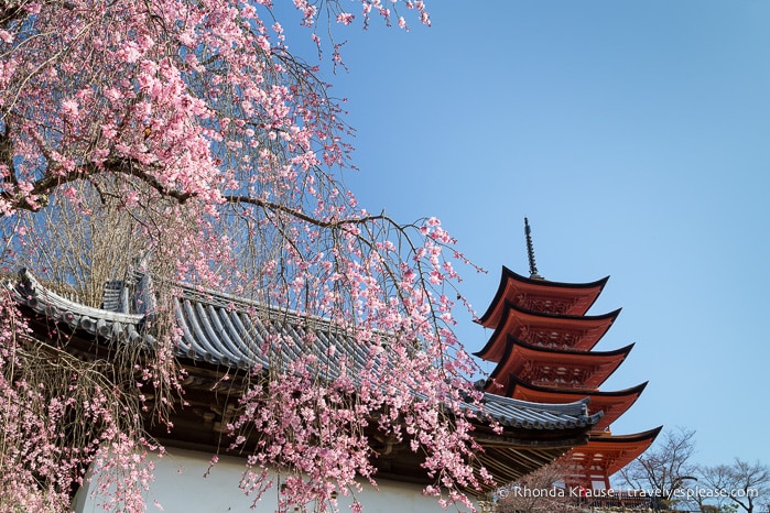 travelyesplease.com | Miyajima- Exploring one of Japan's Most Scenic Spots