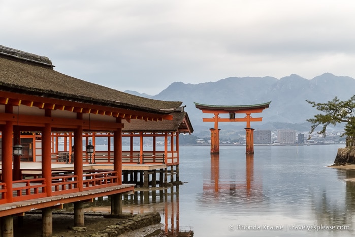 travelyesplease.com | Miyajima Island- Exploring One of Japan's Most Scenic Spots