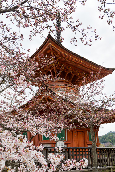 travelyesplease.com | Miyajima- Exploring one of Japan's Most Scenic Spots