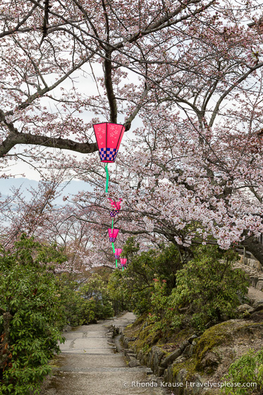 travelyesplease.com | Miyajima- Exploring one of Japan's Most Scenic Spots