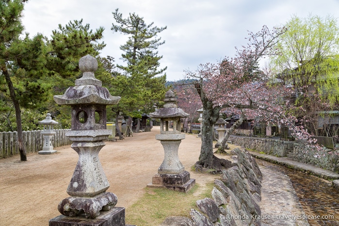 travelyesplease.com | Miyajima Island- Exploring One of Japan's Most Scenic Spots