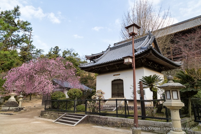 travelyesplease.com | Miyajima- Exploring one of Japan's Most Scenic Spots