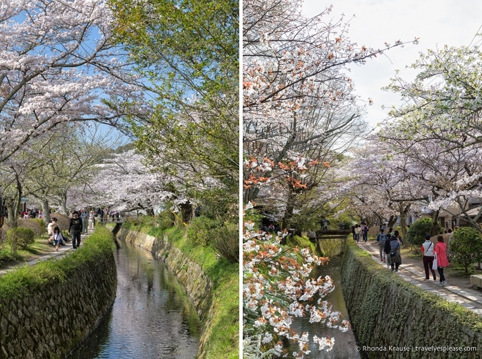 travelyesplease.com | The Path of Philosophy- Kyoto's Prettiest Cherry Blossom Walk