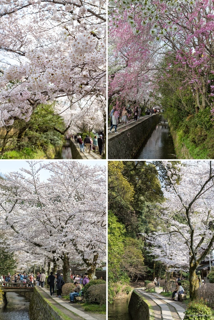 travelyesplease.com | The Path of Philosophy- Kyoto's Prettiest Cherry Blossom Walk