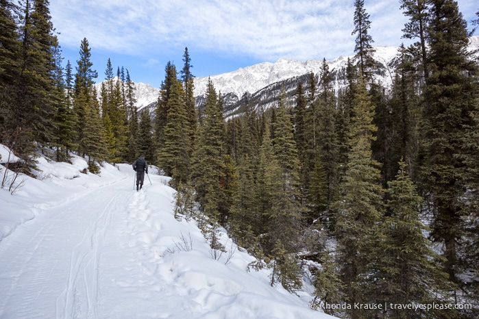 travelyesplease.com | 6 Ways to Enjoy a Winter Trip to Jasper