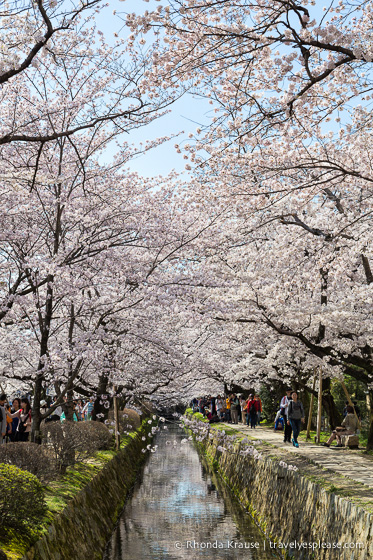 travelyesplease.com | The Path of Philosophy- Kyoto's Prettiest Cherry Blossom Walk