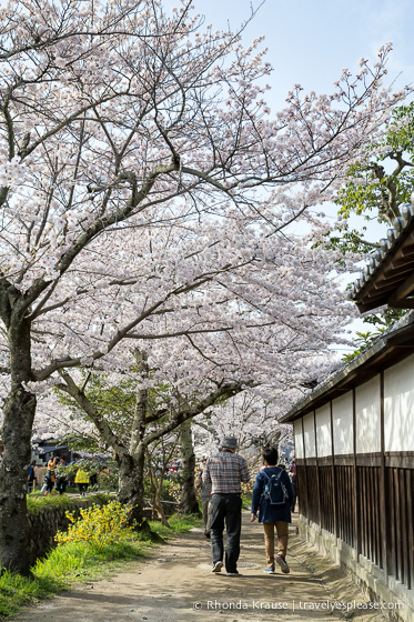 travelyesplease.com | The Path of Philosophy- Kyoto's Prettiest Cherry Blossom Walk