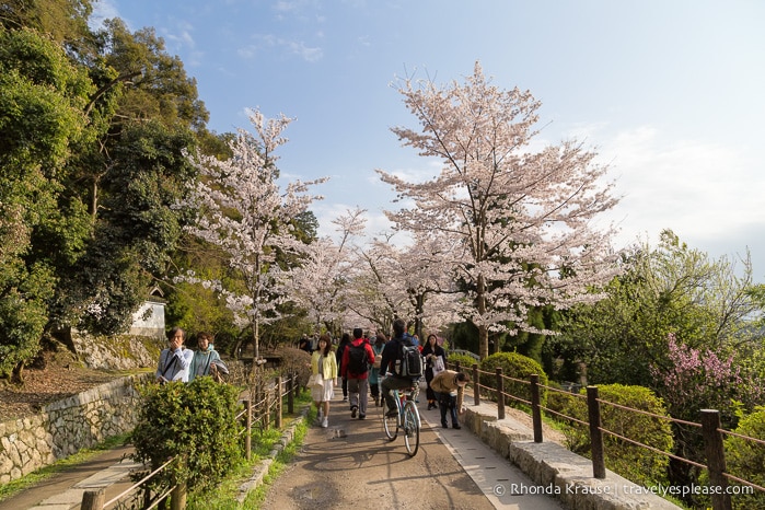 travelyesplease.com | The Path of Philosophy- Kyoto's Prettiest Cherry Blossom Walk