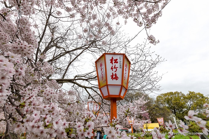 travelyesplease.com | Where to See Cherry Blossoms in Kyoto- Our 6 Favourite Sakura Viewing Spots in Kyoto