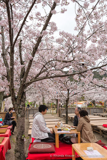 travelyesplease.com | Cherry Blossom Viewing Spots in Kyoto- Our 6 Favourite Locations