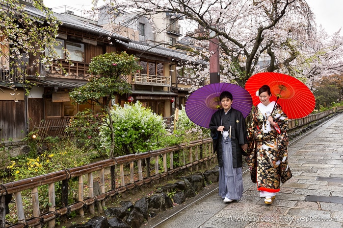 travelyesplease.com | Cherry Blossom Viewing Spots in Kyoto- Our 6 Favourite Locations