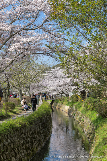 travelyesplease.com | How to Spend 3 Days in Kyoto- Our Itinerary