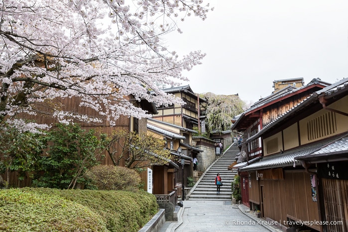 How to Spend 3 Days in Kyoto- Our Itinerary