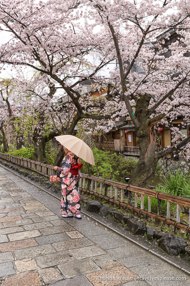 travelyesplease.com | How to Spend 3 Days in Kyoto- Our Itinerary