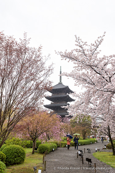 travelyesplease.com | Kyoto's To-ji Temple by Day and Night