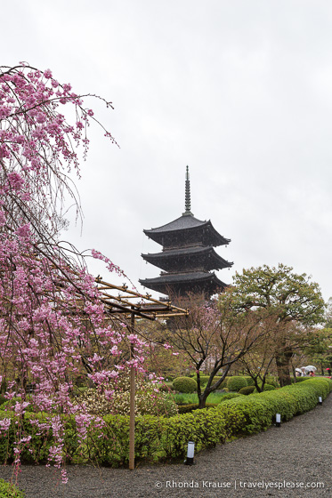 travelyesplease.com | Kyoto's To-ji Temple by Day and Night