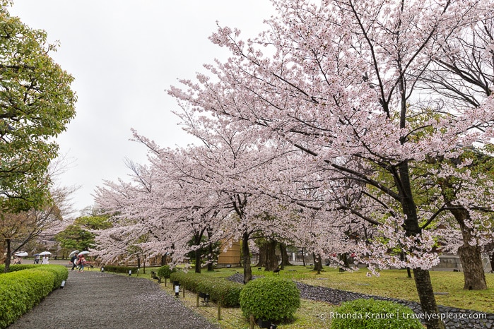 travelyesplease.com | Kyoto's To-ji Temple by Day and Night