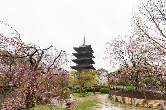 travelyesplease.com | Kyoto's To-ji Temple by Day and Night