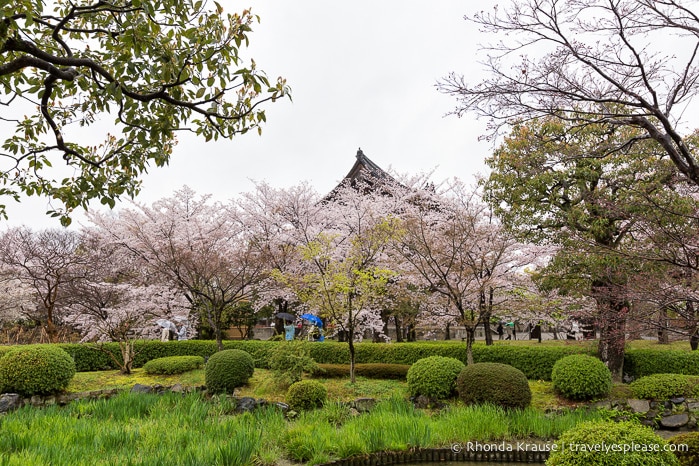 travelyesplease.com | Kyoto's To-ji Temple by Day and Night