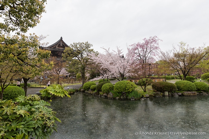 travelyesplease.com | Kyoto's To-ji Temple by Day and Night