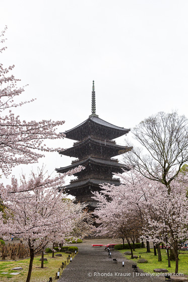 travelyesplease.com | Kyoto's To-ji Temple by Day and Night