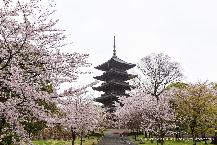 travelyesplease.com | Kyoto's To-ji Temple by Day and Night