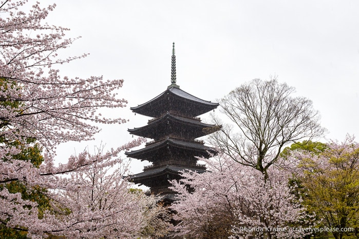 travelyesplease.com | Kyoto's To-ji Temple by Day and Night