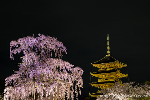 travelyesplease.com | Kyoto's To-ji Temple by Day and Night