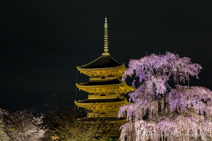 travelyesplease.com | Kyoto's To-ji Temple by Day and Night