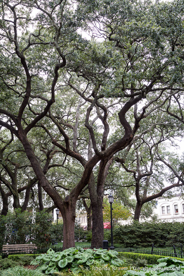 travelyesplease.com | The Squares of Savannah