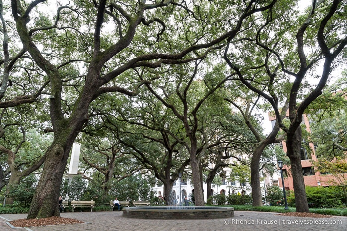 travelyesplease.com | The Squares of Savannah