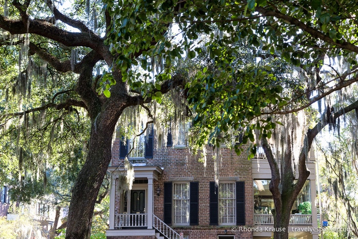 travelyesplease.com | The Squares of Savannah