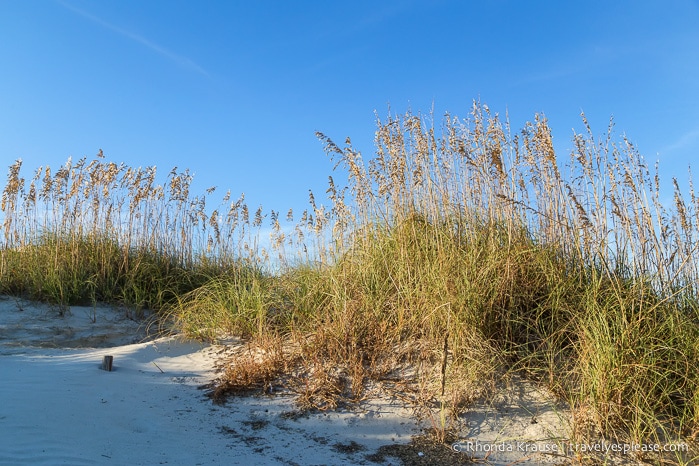 travelyesplease.com | Tybee Island, Georgia - Foto Serie