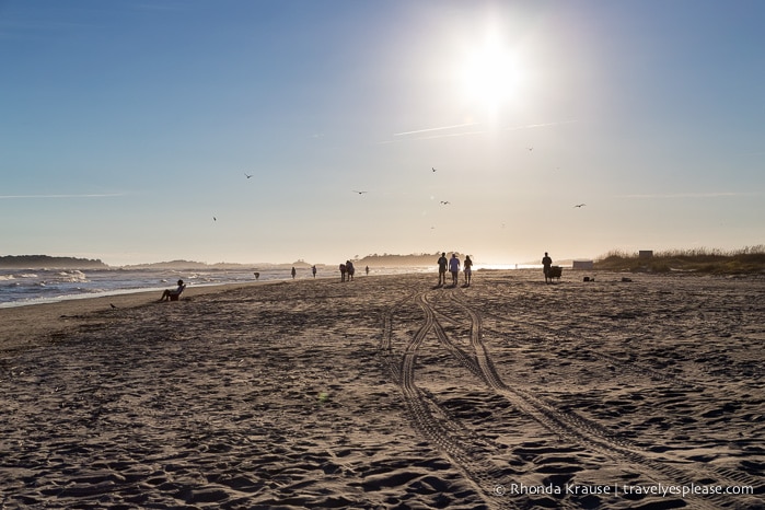 travelyesplease.com | Tybee Island, Georgia - Série Fotografií