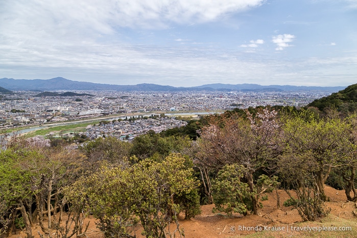 travelyesplease.com | Visiting Iwatayama Monkey Park in Kyoto