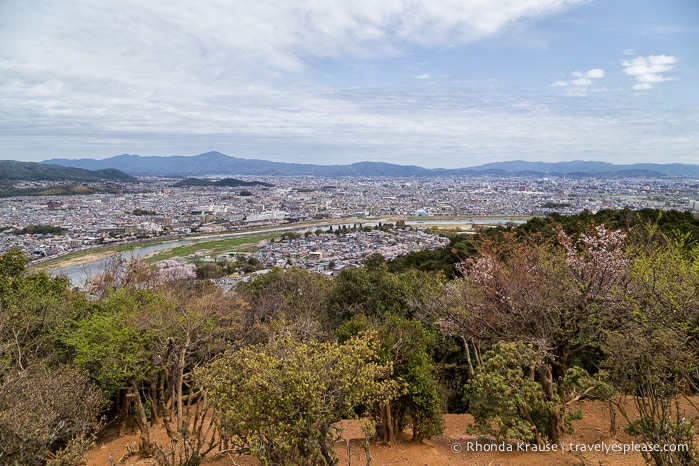 travelyesplease.com | Visiting Iwatayama Monkey Park in Kyoto