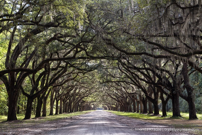 travelyesplease.com / How to Spend 3 Days in Savannah-Our routebeschrijving