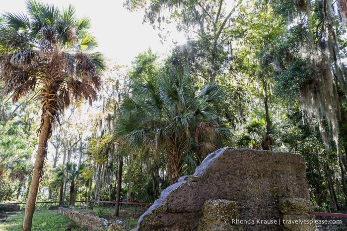 travelyesplease.com | History and Nature at Wormsloe Historic Site, Savannah