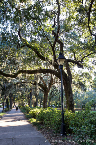 travelyesplease.com / Come trascorrere 3 giorni a Savannah-Il nostro itinerario