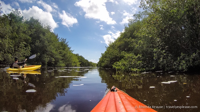 travelyesplease.com | Exploring Everglades National Park