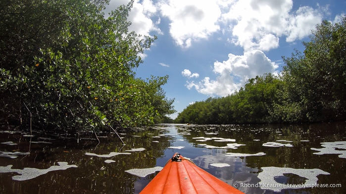 travelyesplease.com | Exploring Everglades National Park
