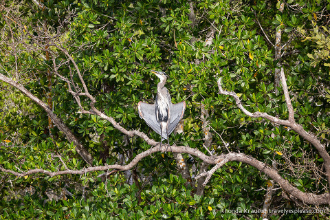 Exploring Everglades National Park- Points of Interest