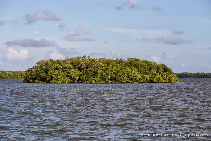 travelyesplease.com | Exploring Everglades National Park