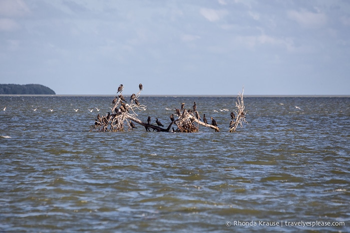 travelyesplease.com | Exploring Everglades National Park