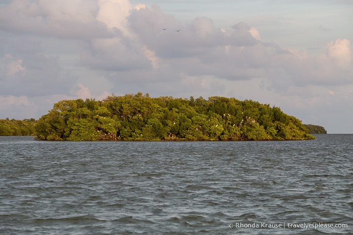 travelyesplease.com | Exploring Everglades National Park